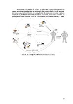 Konspekts 'Zarnu grupas Escherichia coli O157:H7 baktērija', 16.