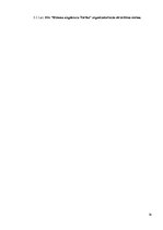 Prakses atskaite 'SIA "Biznesa augstskola Turība"', 16.