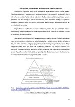 Prakses atskaite 'SIA "Biznesa augstskola Turība"', 18.