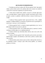 Prakses atskaite 'SIA "Biznesa augstskola Turība"', 52.