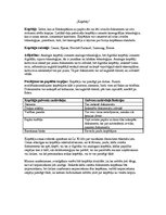 Konspekts 'Kopētāji', 1.