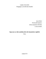 Eseja 'Ieguvumi un riski multikulturālā vidē starpkultūru izglītībā', 1.