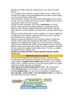 Konspekts 'Vēsture, viduslaiki', 5.