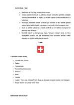 Referāts 'Rietumeiropa', 5.