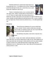 Referāts 'Rietumeiropa', 6.