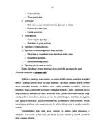 Referāts 'Sadzīves atkritumu šķirošanas iekārtas', 4.