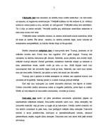 Referāts 'Sadzīves atkritumu šķirošanas iekārtas', 5.