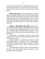 Referāts 'Sadzīves atkritumu šķirošanas iekārtas', 10.