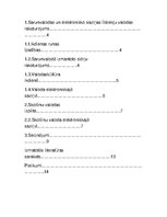 Referāts 'Skolēnu valodas raksturīgās iezīmes', 2.