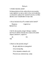 Referāts 'Skolēnu valodas raksturīgās iezīmes', 15.