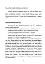 Referāts 'Tūrisma plānošana un vadība Talsu pašvaldības līmenī', 19.