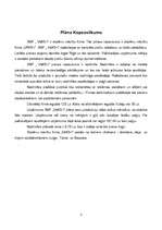 Biznesa plāns 'SMF "VāKS-I" biznesa plāns', 3.