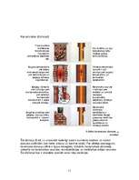 Referāts 'Vēdināšanas un dūmkanāli sienās. Dūmeņi', 11.