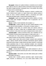 Diplomdarbs 'SIA "O" kapitāla izmantošanas iespējas', 6.