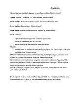 Referāts 'Eksistenciālisms. Kāpēc mēs esam?', 2.