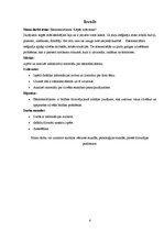 Referāts 'Eksistenciālisms. Kāpēc mēs esam?', 6.