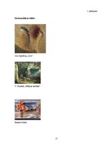 Referāts 'Eksistenciālisms. Kāpēc mēs esam?', 27.