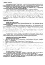 Konspekts 'Saistību tiesības', 11.