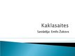 Prezentācija 'Kaklasaite', 1.