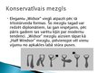 Prezentācija 'Kaklasaite', 8.