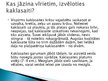 Prezentācija 'Kaklasaite', 10.
