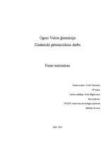 Referāts 'SIA "Fazer maiznīca"', 1.