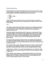 Referāts 'SIA "Fazer maiznīca"', 9.