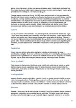 Referāts 'SIA "Fazer maiznīca"', 11.