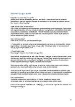 Referāts 'SIA "Fazer maiznīca"', 20.