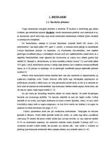 Referāts 'Jauniešu bezdarba problēmas Latvijā', 5.