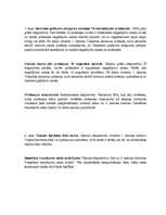 Konspekts 'Nelaimes gadījumi darbā', 11.