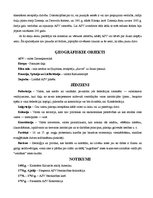 Eseja 'Amerika - jaunu iespēju zeme', 2.