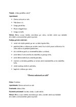 Paraugs 'Integrēto nodarbību plāns nedēļai "Dabas parādības ziemā"', 2.