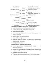 Diplomdarbs 'Interaktīvo metožu nozīme pedagoģiskajā procesā ģeogrāfijas stundās pamatskolā', 33.