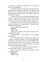 Diplomdarbs 'Interaktīvo metožu nozīme pedagoģiskajā procesā ģeogrāfijas stundās pamatskolā', 45.