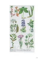 Referāts 'Latvijas indīgie augi', 17.