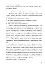 Konspekts 'Stratēģija inovatīvajā jomā', 5.