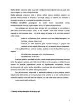 Eseja 'Vadītāja eksperta un arbitra - vidutāja funkcijas', 3.