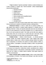 Eseja 'Vadītāja eksperta un arbitra - vidutāja funkcijas', 4.