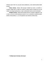 Eseja 'Vadītāja eksperta un arbitra - vidutāja funkcijas', 5.