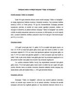 Eseja 'Gadījuma analīze sociālajai kampaņai "Gājējs vai bojāgājējs"', 1.