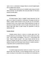 Eseja 'Gadījuma analīze sociālajai kampaņai "Gājējs vai bojāgājējs"', 2.