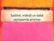 Prezentācija 'Sadzīvē, mākslā un dabā sastopamās prizmas', 1.