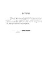 Diplomdarbs '"Travel" pārdošanas apjomu stimulēšanas politikas pilnveide', 80.