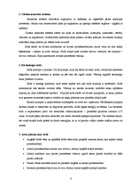 Referāts 'Fizika cilvēka asinsrites sistēmā', 4.