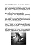 Konspekts 'Gaismas nozīme fotogrāfijā un fotografēšanā', 18.