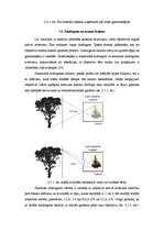 Konspekts 'Gaismas nozīme fotogrāfijā un fotografēšanā', 21.