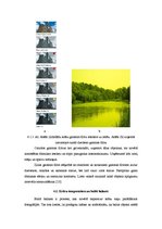 Konspekts 'Gaismas nozīme fotogrāfijā un fotografēšanā', 33.