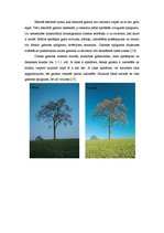 Konspekts 'Gaismas nozīme fotogrāfijā un fotografēšanā', 37.