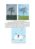 Konspekts 'Gaismas nozīme fotogrāfijā un fotografēšanā', 38.